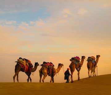 Golden Triangle 5 Nights 4 Days Tour Packages